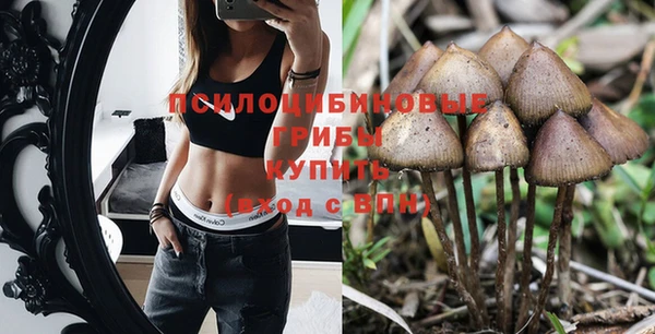 не бодяженный Богданович