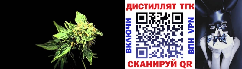 Купить закладки  Луза  ТГК THC oil 