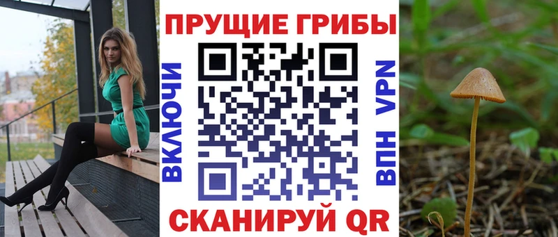 Псилоцибиновые грибы Cubensis  Купить где  Луза 